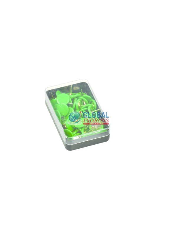 PUNTINE VERDE IN BOX 50pz