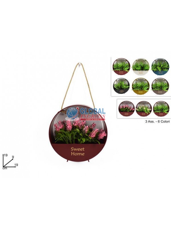 VASO C/PIANTA APPENDINOASS.