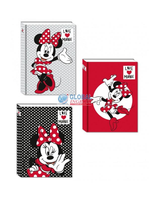 DIARIO MINNIE