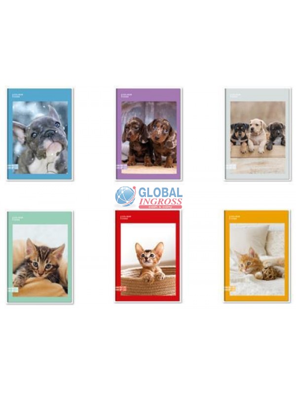 MAXI SEVEN COLOUR CODE 10mm ANIMAL SNAPSHOT