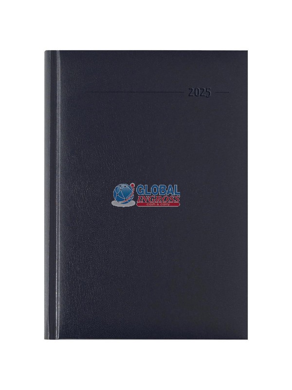 AGENDA 2025 DAILY LARGEBALACRON NERA