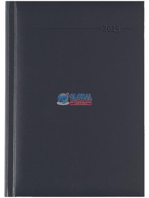 AGENDA 2025 DAILY LARGEBALACRON BLUE
