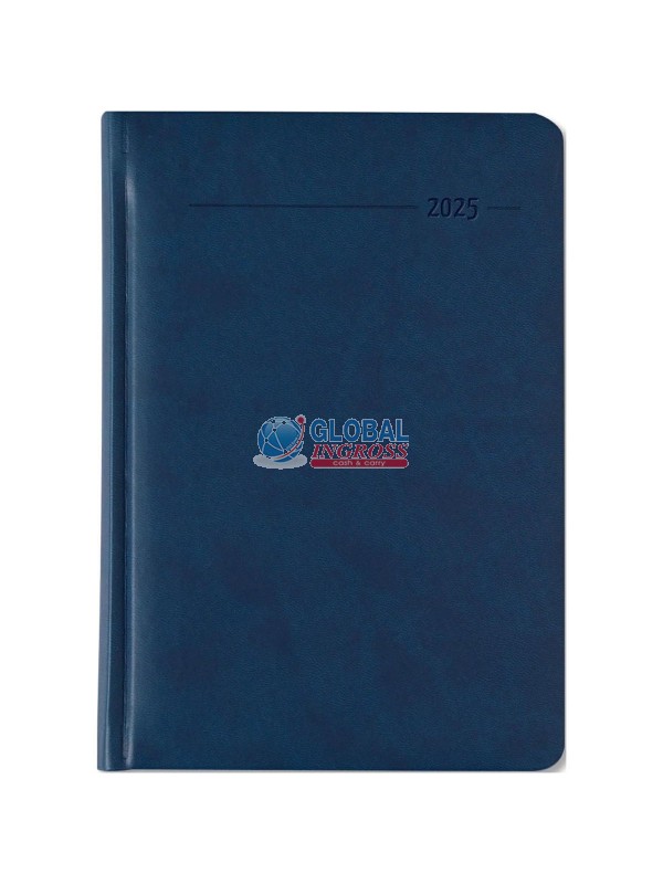 AGENDA 2025 WEEK LARGE TUCSON BLU