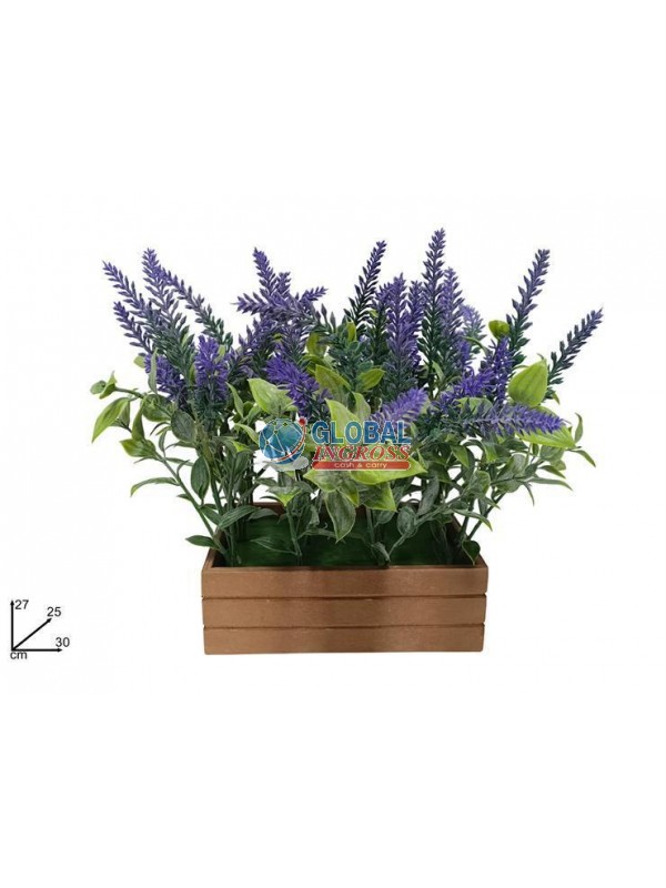 PIANTINA LAVANDA C/CASSETTA