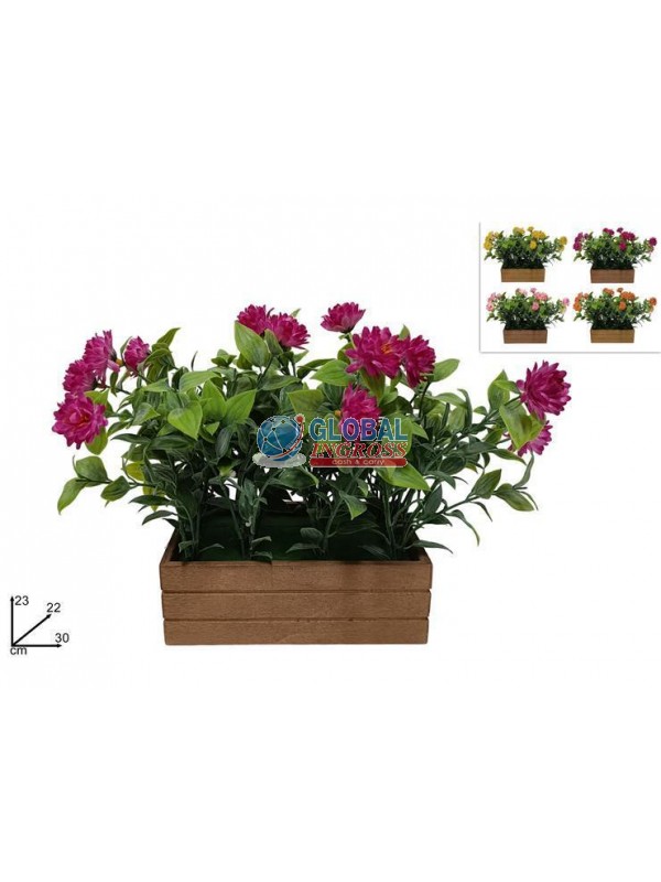 PIANTINA FIORELLINI C/CASSETTA