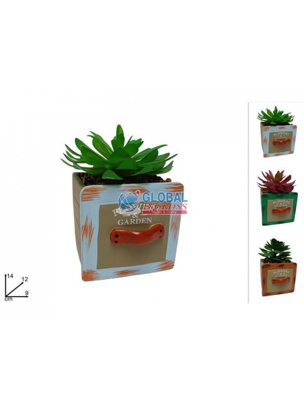 VASO CASSETTO C/PIANTINA GRASSA ASS.