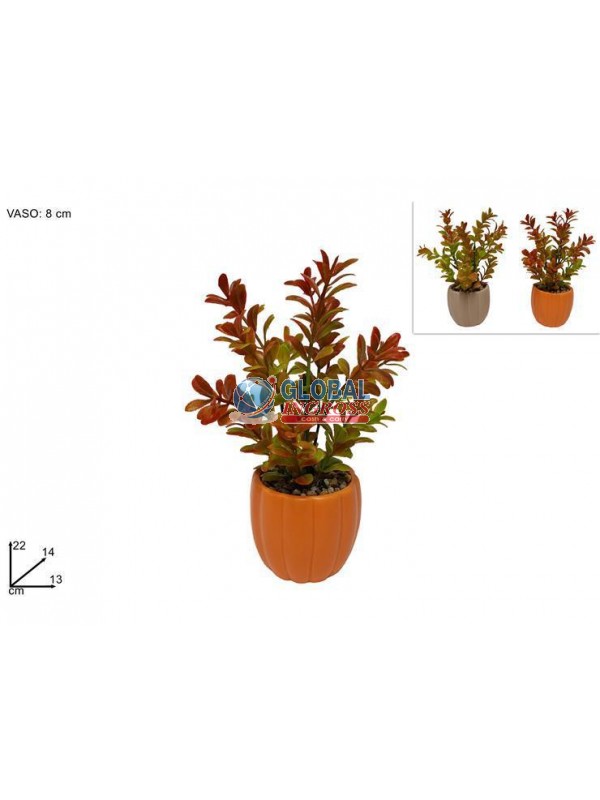 PIANTINA C/VASO AUTUNNALE ASS.