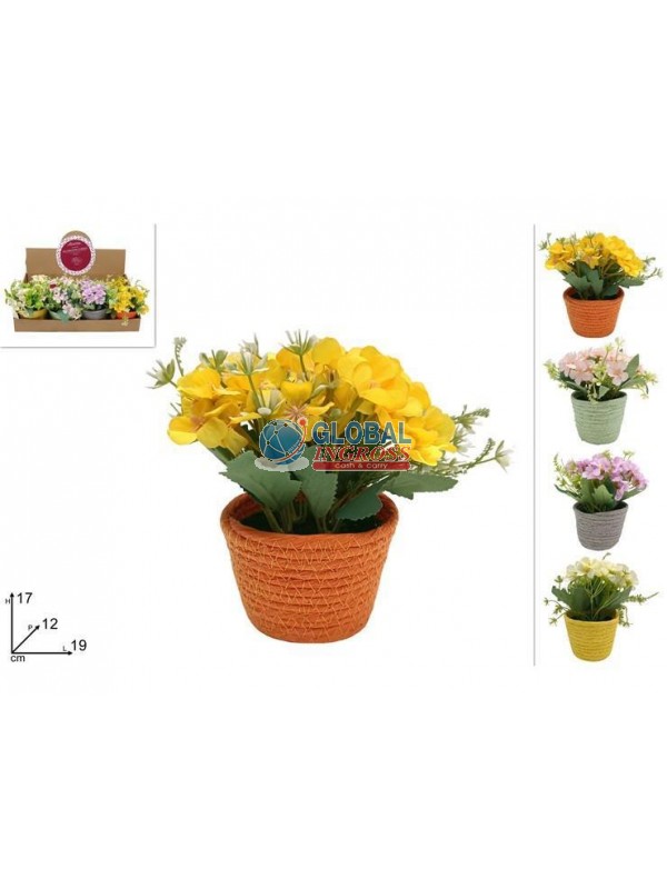 PIANTINA FIORI C/VASO CORDA COL.ASS.