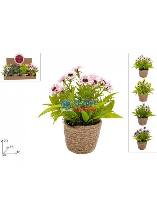 PIANTINA FIORI C/VASO CORDA COL.ASS.