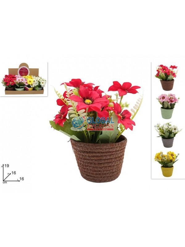 PIANTINA FIORI C/VASO CORDA COL.ASS.