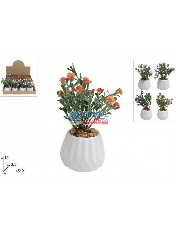 PIANTINA FIORELLINI 4 COLORI