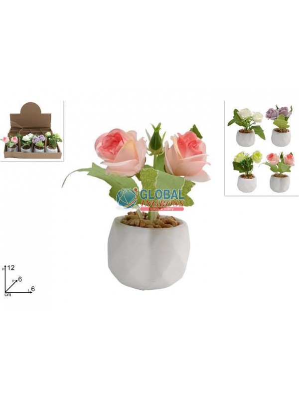 PIANTINA ROSE 4 COLORI