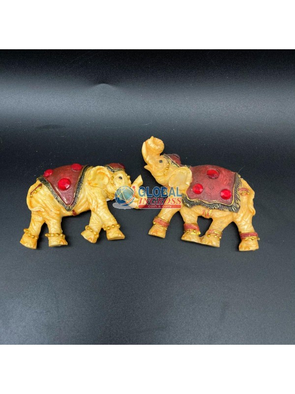 CALAMITA ELEFANTE