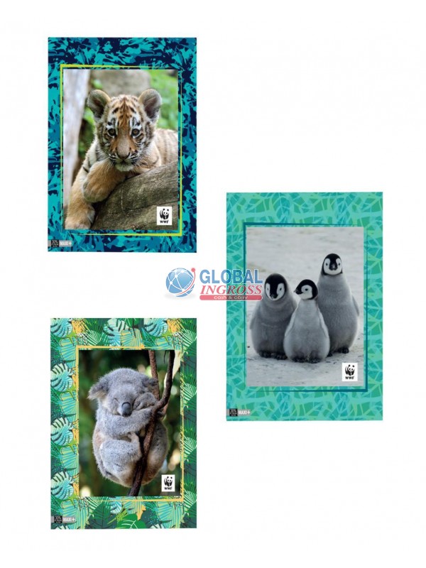 MAXI WWF 10mm FOTOGRAFICO