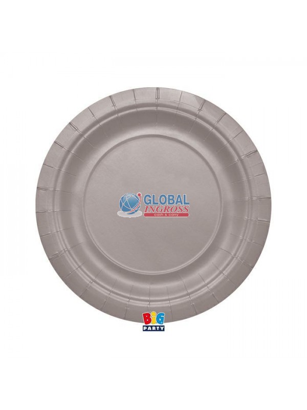PIATTI ECOLOR 24cm ARGENTO MATT 25pz