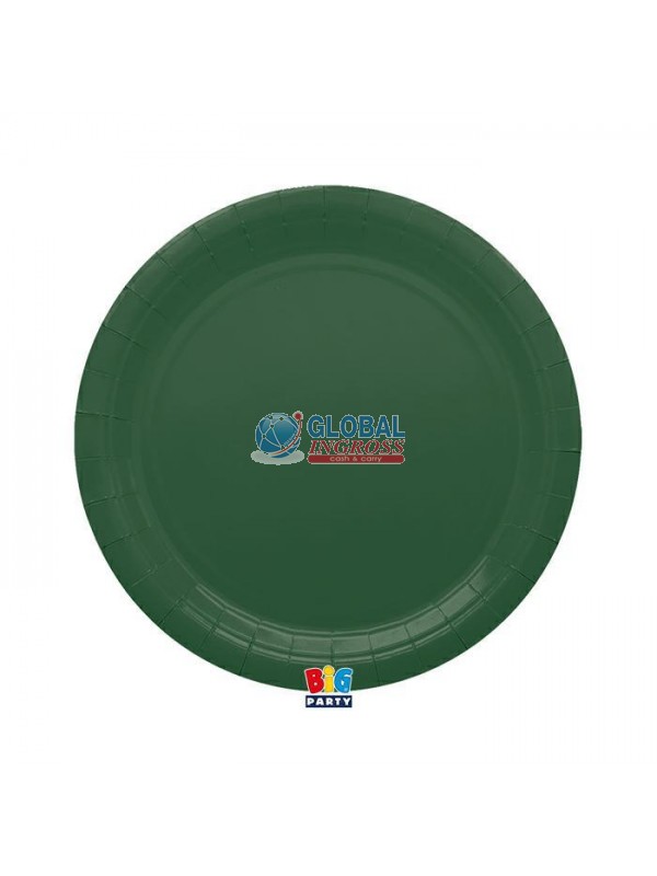 PIATTI ECOLOR 24cm VERDE FORESTA 25pz