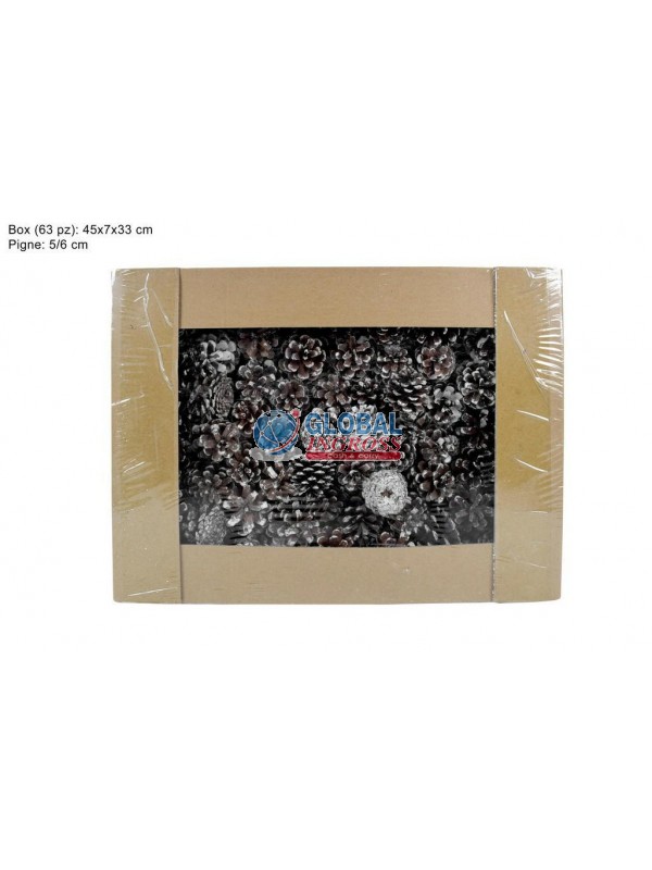 BOX PIGNE 63pz INNEVATE