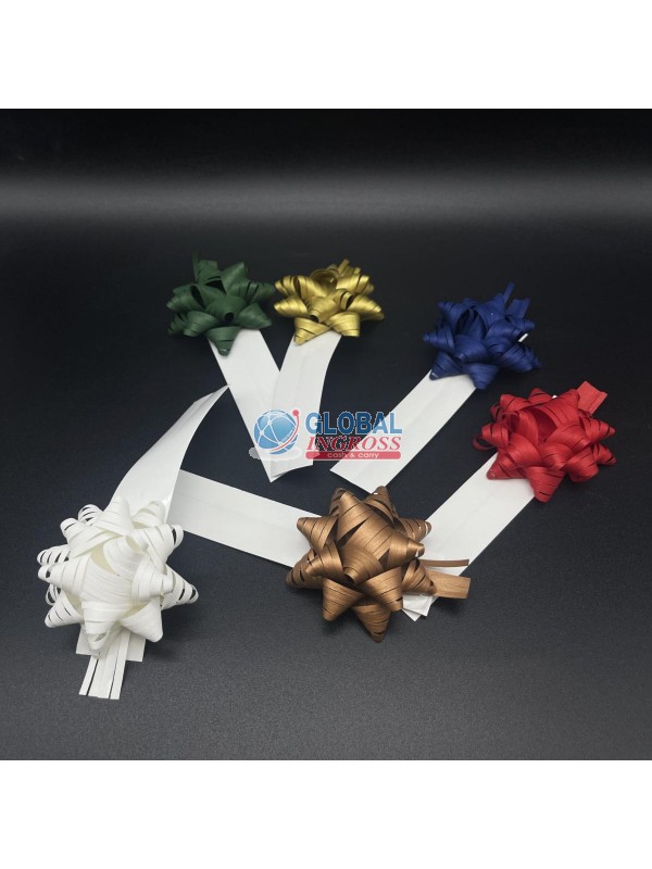 COCCARDA CHIUDIPACCO 13mm ASS.SK   14336.SK