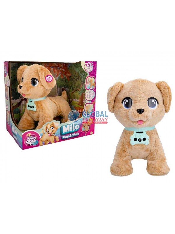 CLUB PETZ MILO PLAY ANDWALK