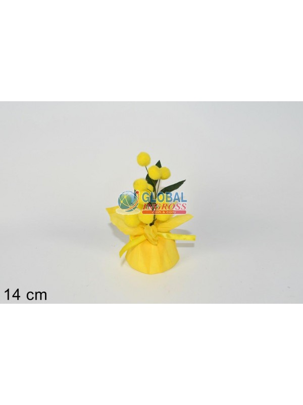 MIMOSA PIANTINA 14cm