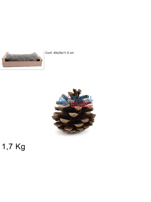 CASSETTA PIGNE 1,7Kg NATURALI