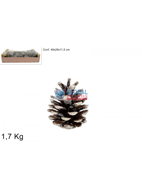 CASSETTA PIGNE 1,7Kg INNEVATE