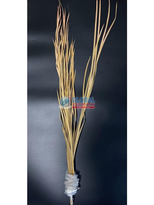 FASCIO 6STELI SPRUZZO PAGLIA NATURALE 95cm