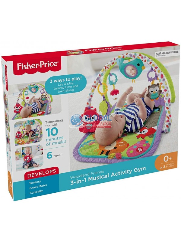 FISHER PRICE 3in1 ACTIVITY GYM PALESTRINA