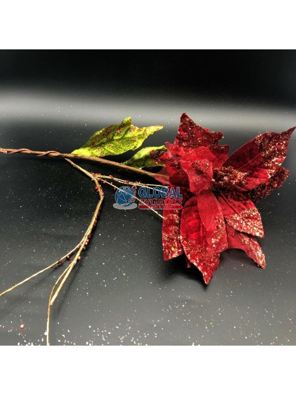 STELLA DI NATALE LUNGO