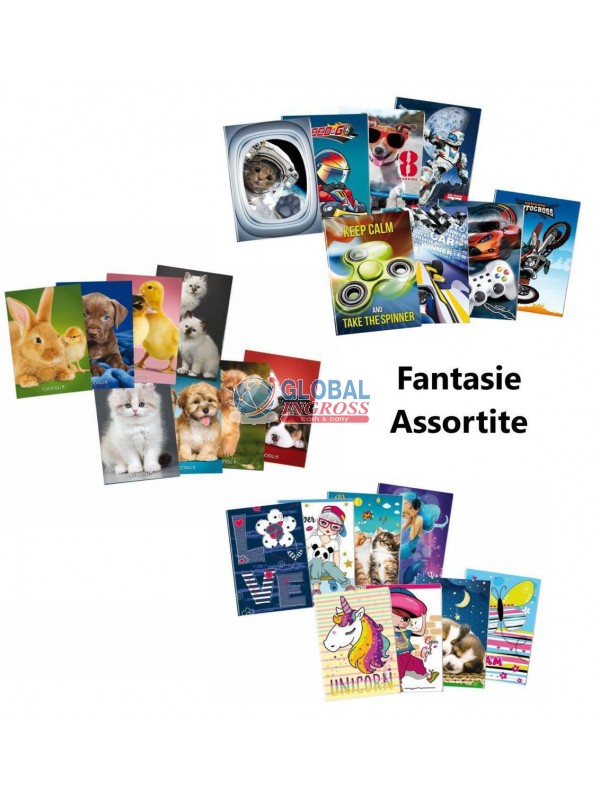 MAXI BLASETTI 40ff 1 RIGO 10pz fantasia