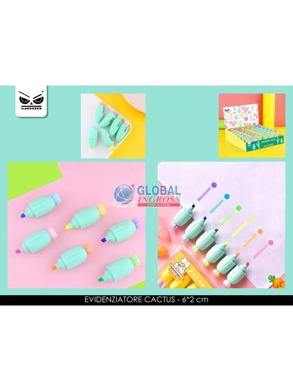 EVIDENZIATORE CACTUS ass.